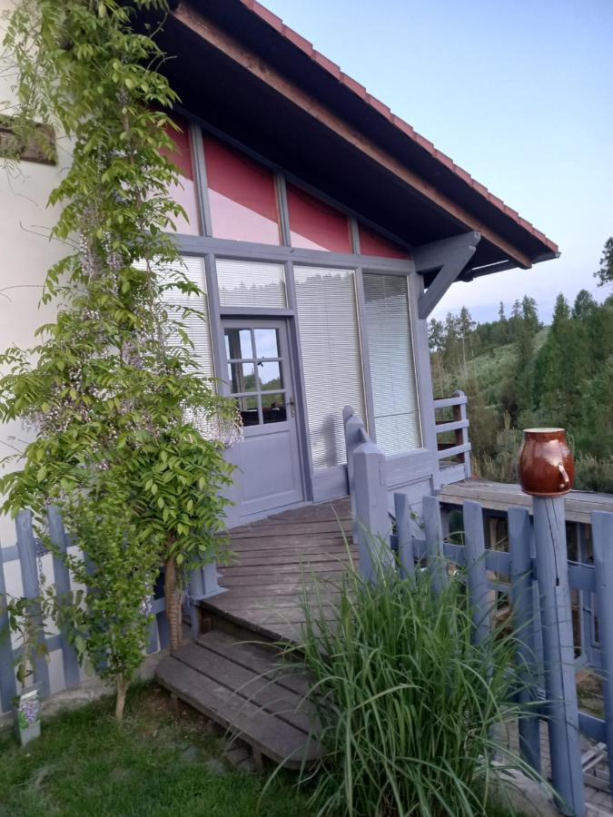 55 Appartement *